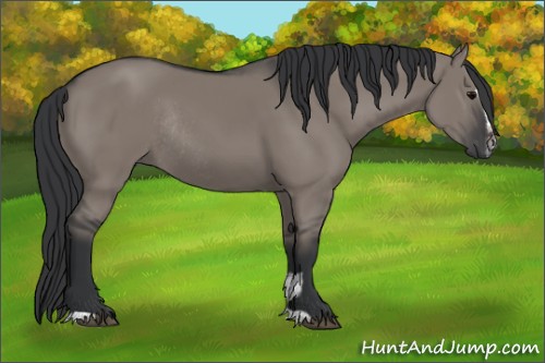 Horse Color:Grullo Sabino Rabicano