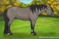 Horse Color:Grullo Sabino Rabicano 