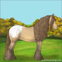Horse Color:Amber Cream Champagne Snowcap 