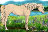 Horse Color:Gold Champagne