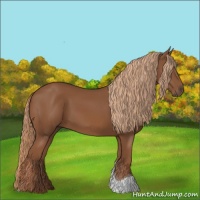 Horse Color:Chestnut Tobiano