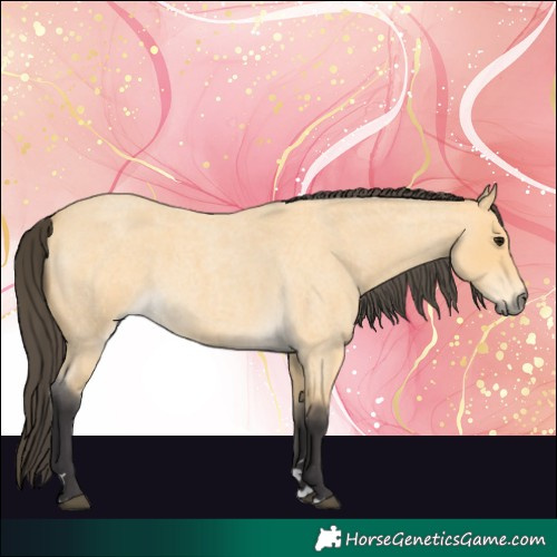 Horse Color:Buckskin Roan 