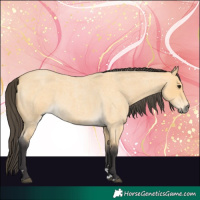 Horse Color:Buckskin Roan 