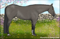 Horse Color:Grullo Sabino Rabicano