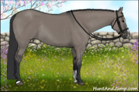 Horse Color:Grullo Sabino Rabicano 