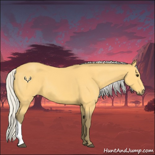 Horse Color:Silver Buckskin 
