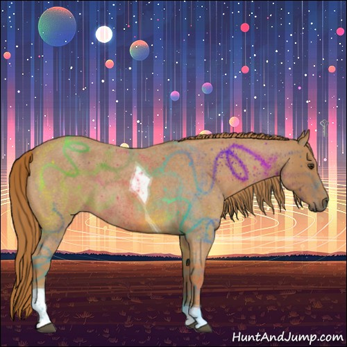 Horse Color:Red Roan Tobiano