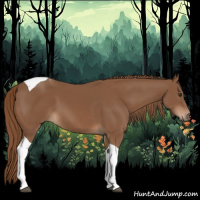Horse Color:Chestnut Tobiano 