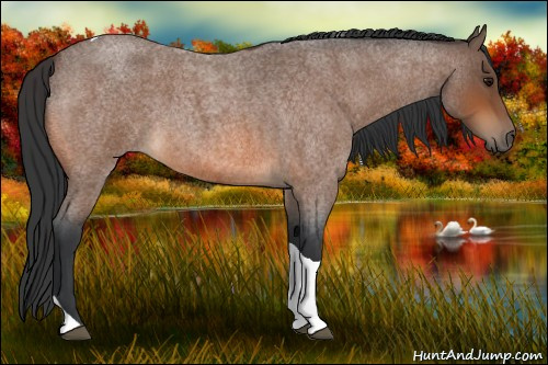 Horse Color:Bay Roan Tobiano 