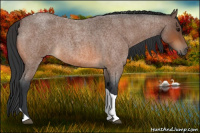 Horse Color:Bay Roan Tobiano 