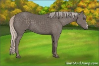 Horse Color:Silver Black 