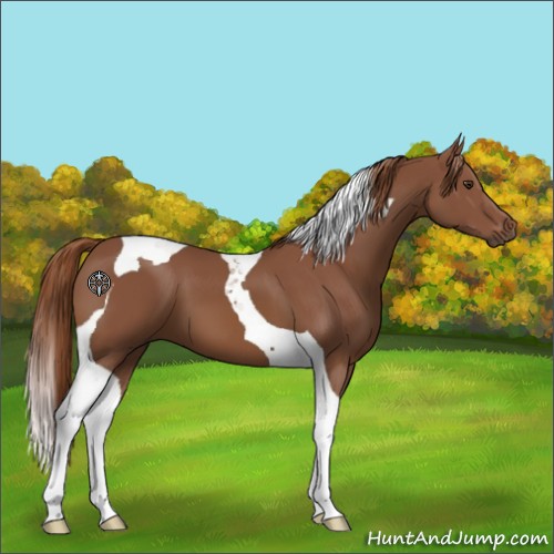 Horse Color:Chestnut Tobiano 