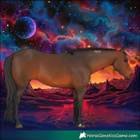 Horse Color:Brown 