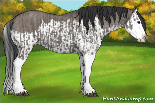 Horse Color:Grullo Sabino Splash  and Grullo Sabino Splash 