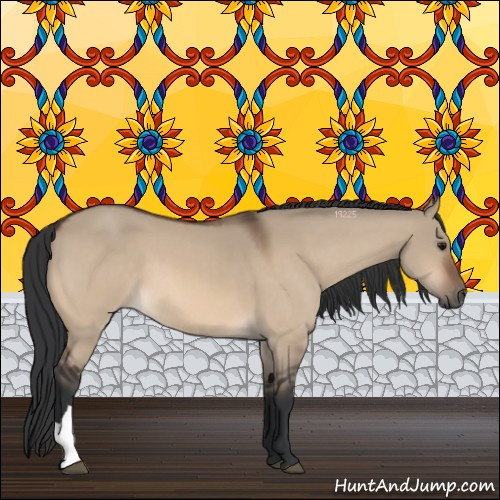 Horse Color:Bay Dun