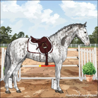 Horse Color:Grullo Sabino Splash Tobiano  and Grullo Sabino Splash Tobiano 
