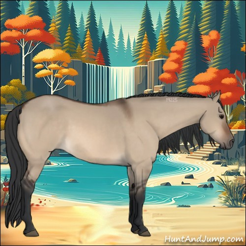 Horse Color:Bay Dun
