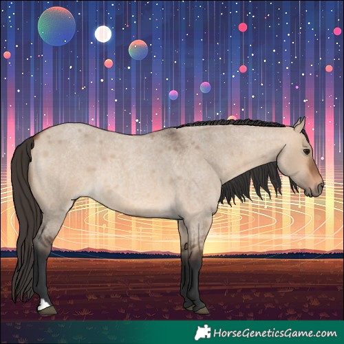 Horse Color:Bay Roan Dun 