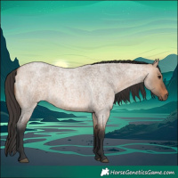 Horse Color:Bay Roan Dun 