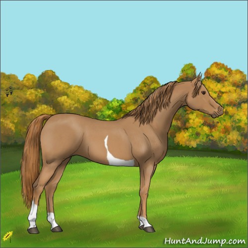 Horse Color:Red Roan Tobiano 