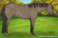 Horse Color:Smoky Grullo Sabino Rabicano