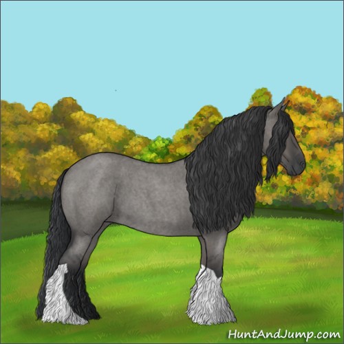 Horse Color:Grullo Roan Tobiano 