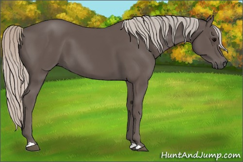 Horse Color:Silver Black 