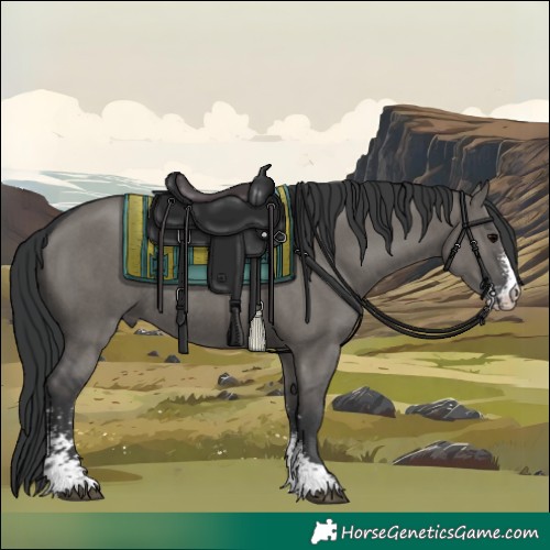 Horse Color:Grullo Sabino Rabicano 