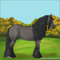 Horse Color:Grullo Sabino Rabicano 