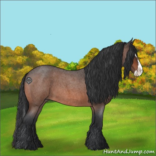 Horse Color:Bay Roan Splash