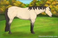 Horse Color:Buckskin Roan Dun Splash