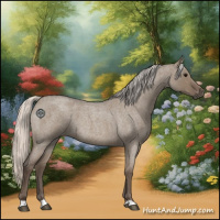 Horse Color:Silver Grullo Roan 