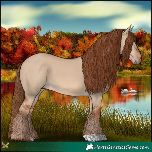 Horse Color:Red Dun