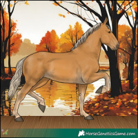 Horse Color:Palomino 