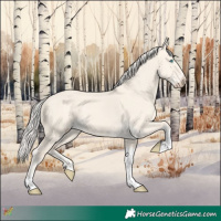 Horse Color:Cremello Dun Tobiano 