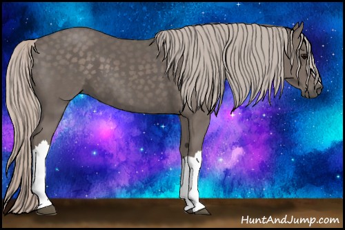 Horse Color:Silver Black 