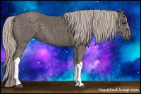 Horse Color:Silver Black