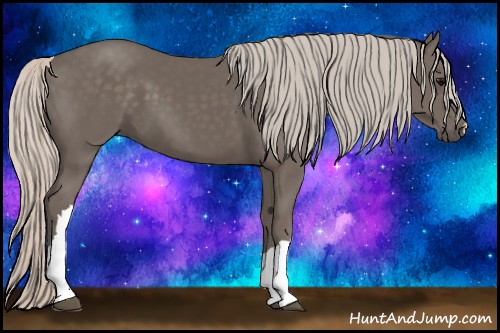 Horse Color:Silver Black 