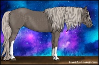 Horse Color:Silver Black 
