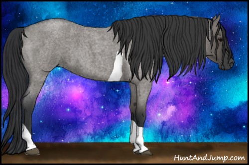 Horse Color:Grullo Roan Tobiano 