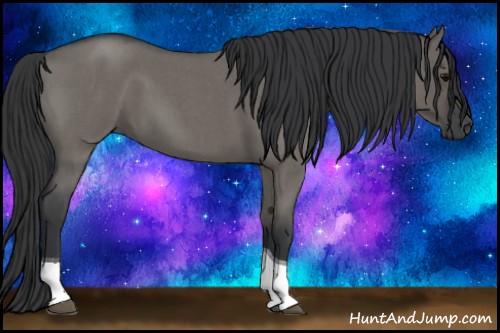 Horse Color:Grullo Roan Tobiano 