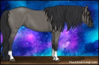 Horse Color:Grullo Roan Tobiano