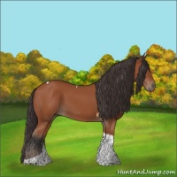 Horse Color:Bay Tobiano Rabicano