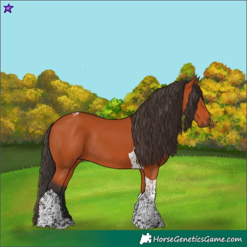 Horse Color:Bay Tobiano Rabicano 