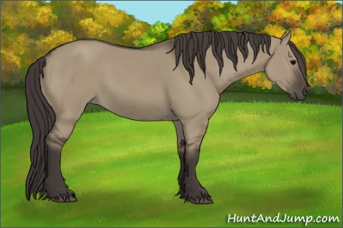 Horse Color:Smoky Grullo Sabino Rabicano