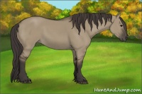 Horse Color:Smoky Grullo Sabino Rabicano 