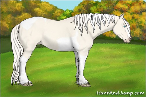 Horse Color:Cremello Dun Tobiano