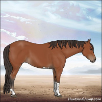 Horse Color:Bay Tobiano Rabicano