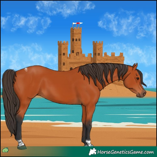 Horse Color:Bay Tobiano Rabicano 