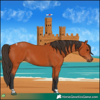 Horse Color:Bay Tobiano Rabicano 